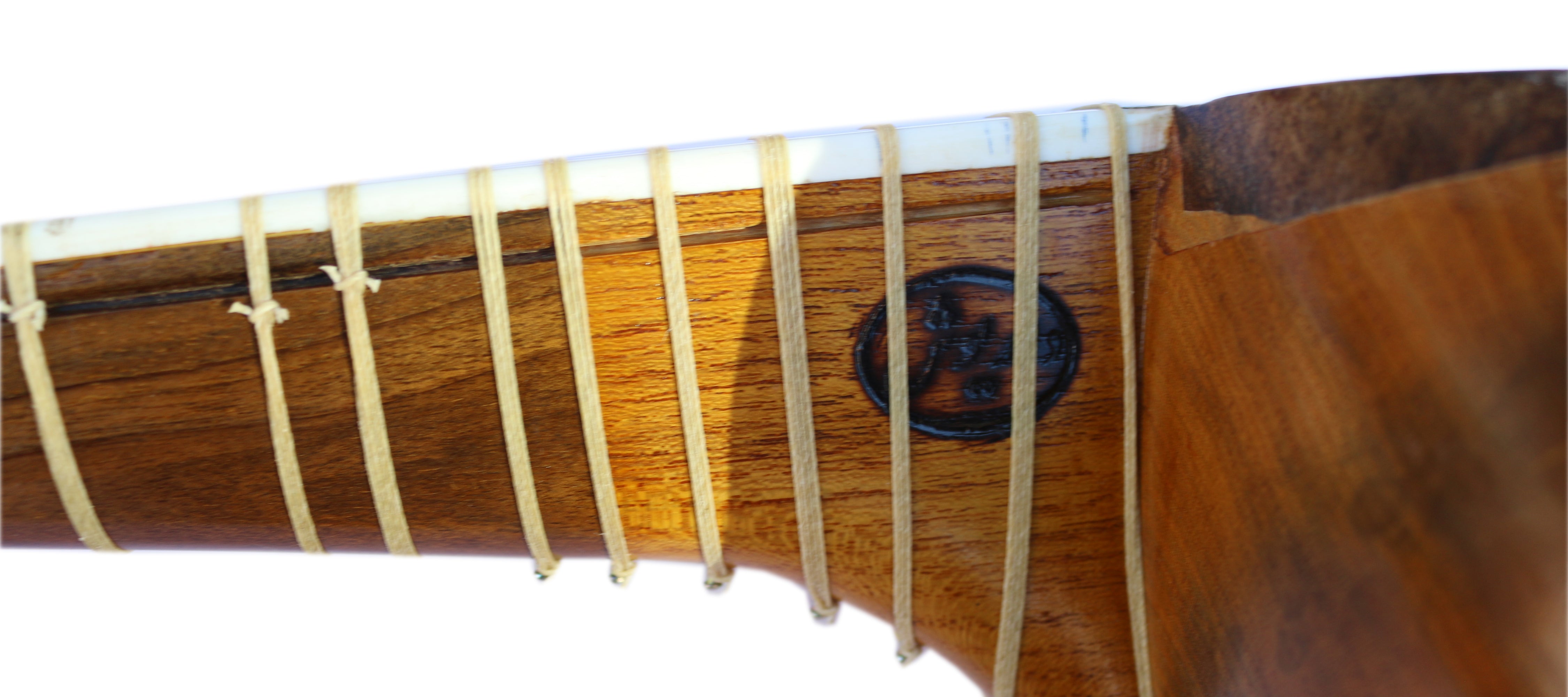 Tar persa DT-304 de Dariosh instrumento punteado tradicional