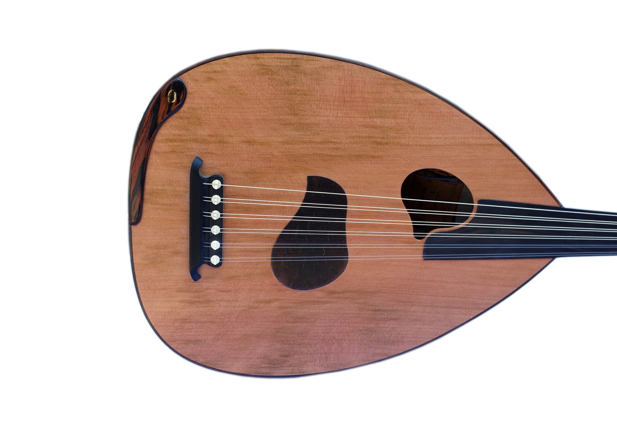 Oud eléctrico con cuerpo ébano PROUD-5 artesanal del maestro luthier Mehmet Caymaz