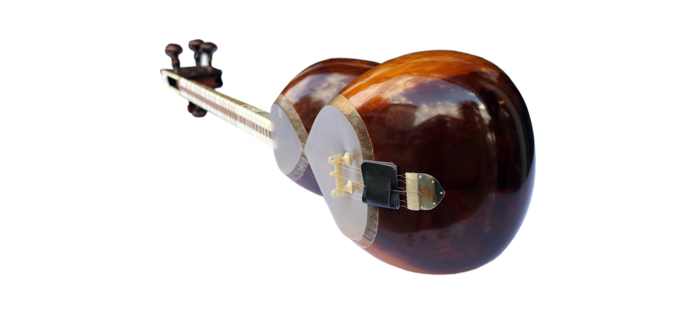 Delnavaz tar DPT-3L luthier instrumento cuerpo de morera zurdo