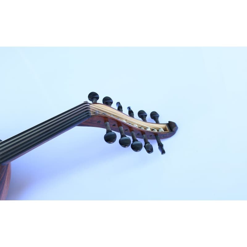 Oud Zenne de ovangkol CM-1Z de Mehmet Caymaz