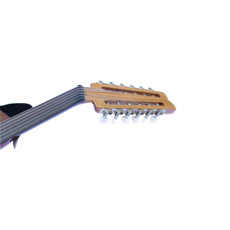 Oud eléctrico silencioso caoba AOS-101G por Sala